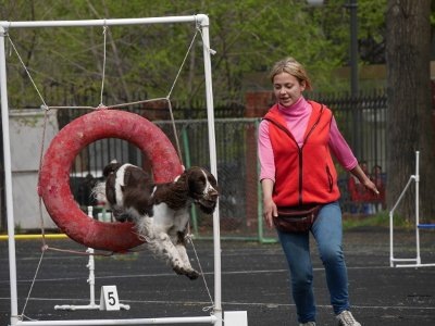 194947-80204-78579167-m750x740-u5dafa.jp